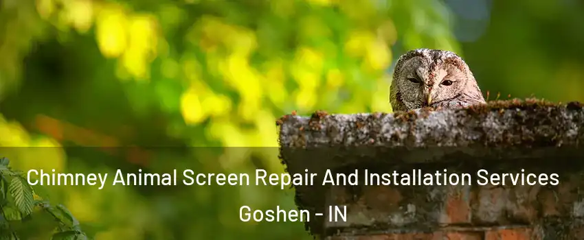  Chimney Animal Screen Repair And Installation Services Goshen - IN