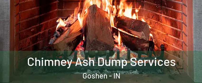  Chimney Ash Dump Services Goshen - IN
