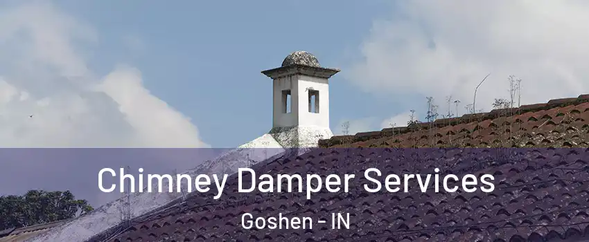  Chimney Damper Services Goshen - IN