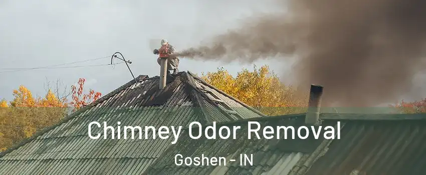  Chimney Odor Removal Goshen - IN