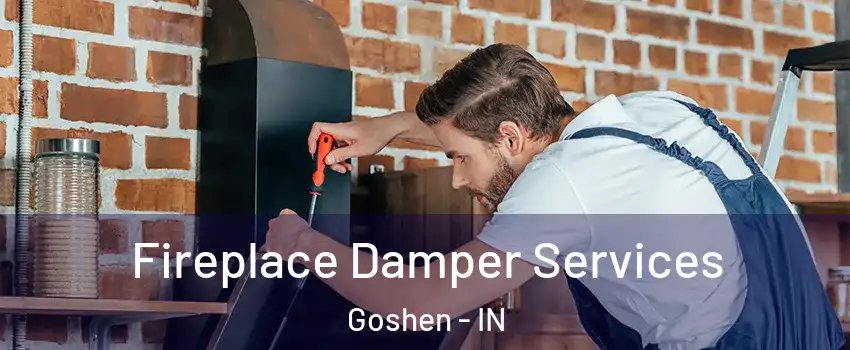  Fireplace Damper Services Goshen - IN