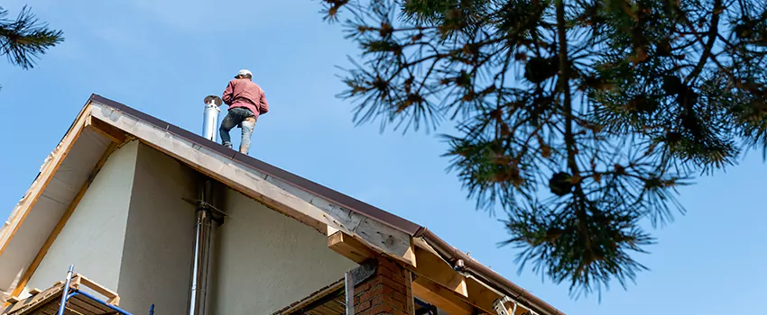 Birds Removal Contractors from Chimney in Goshen, IN