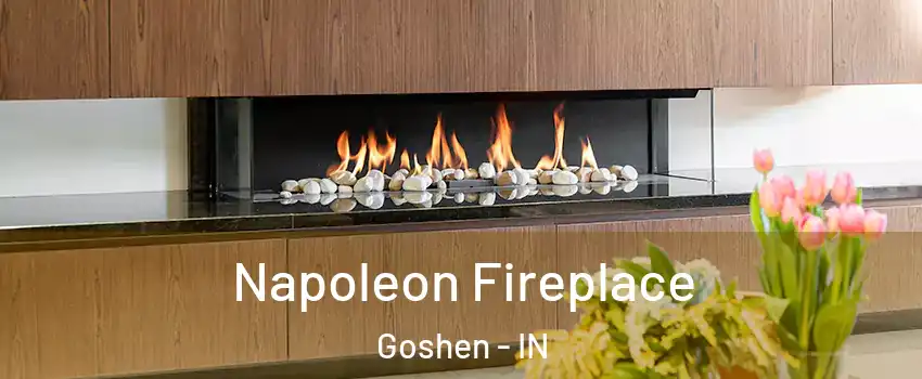  Napoleon Fireplace Goshen - IN