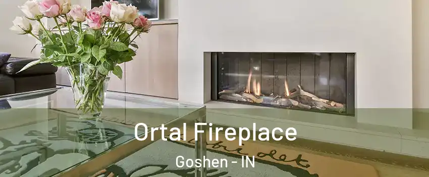 Ortal Fireplace Goshen - IN